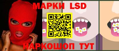 амф Гусев