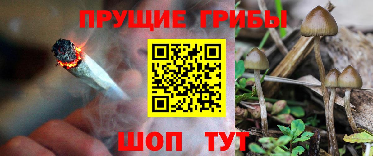 Малгобек  Псилоцибиновые грибы мухоморы  Вход с VPN 